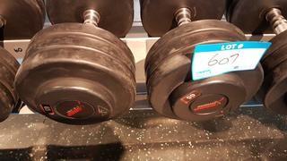 Pair of 65 lbs Dumbbells
