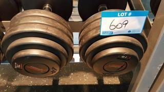 Pair of 75 lbs Dumbbells