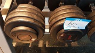 Pair of 80 lbs Dumbbells