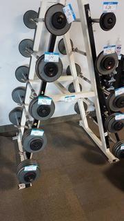 Magnum Fitness Systems 10 Slot Barbell A-Frame Rack