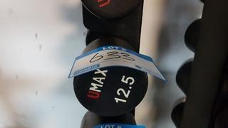Pair of 12.5 lbs Dumbbell
