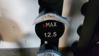 Pair of 12.5 lbs Dumbbell