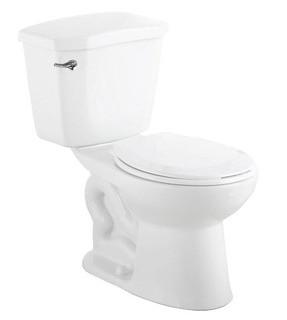 GLACIER BAY?Premier 2-piece 6.0 LPF Single Flush Round 28.86-inch Standard Toilet Bowl in White