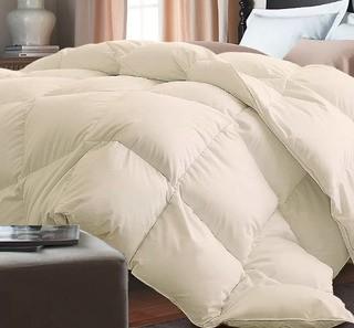 Down Alternative Comforter Queen, Ivoy