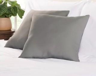 Wayfair Basics Throw Pillow, Grey, 19x19" Set Of 2