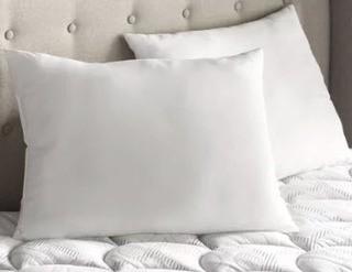 Set Of 2 Wayfair Basics Medium Pillows