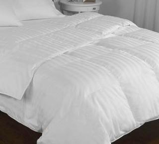 Beautyrest Black European Down Alternative Duvet, Queen