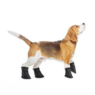 PAWSLIFE(TM) PET BOOTS IN BLACK (SET OF 4)                                                          