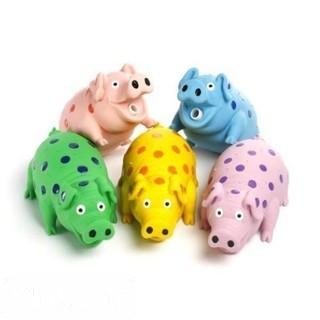 TOY LATEX PIG ASST            