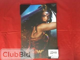 PLAQ WW SWORD SPARK 13X20 Wonder Woman