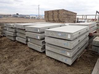 Lot of Approx. 42 SC-5 and SC-2 39"x77"x8" Sound Containment Wall Panels. **LOCATED IN MILK RIVER**