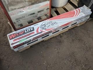 Lot of (2) Boxes of Lithonia 3200 GESB, T8 Light Ballasts.