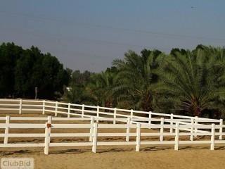 NEW 3-Rail Vinyl Ranch Fencing, 500 linear feet.