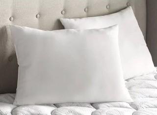 Wayfair Basics 2 Medium Pillows