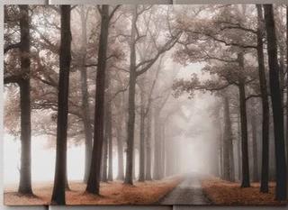 Misty Road' Photographic Print on Wrapped Canvas 32x48"