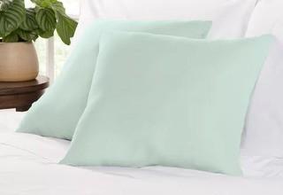 Wayfair Basics Throw Pillow, Light Blue, Set of 2