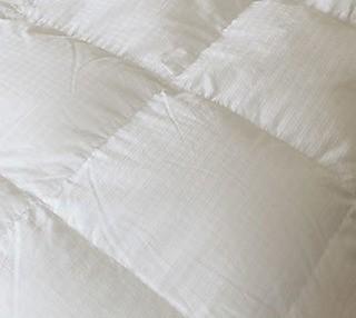 Royal Elite Hutterite White Goose Down, Queen