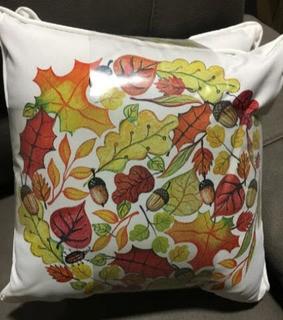 Indoor/Outdoor Accent Throw Pillows, 2PK 16x16"