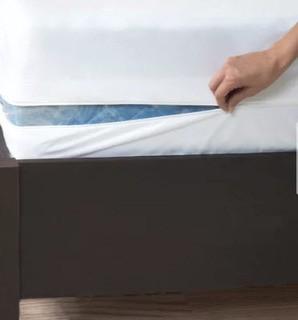 All-In-One Boxspring Encasement w/ Bed Bug Blocker, Queen