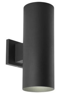Cylinder 2 Light 14 inch Black Outdoor Wall Lantern in Standard