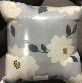 Indoor/Outdoor Accent Throw Pillows, 2PK 16x16"