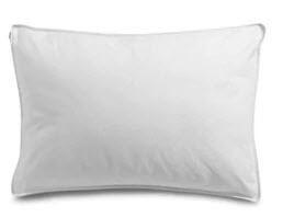 Essential Needs Feather Pillow, Standard 