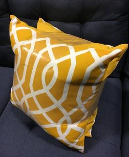 Indoor/Outdoor Accent Throw Pillows, 2PK 16x16"