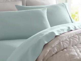 Wayfair Basics 1800 Series 4 Piece Sheet Set, Queen, Mint