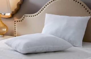 Wayfair Basics 2 Standard Pillows