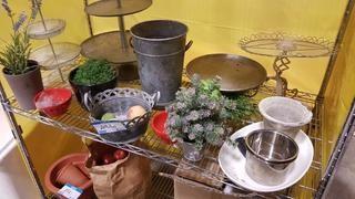 Shelf - Asst'd Display Items