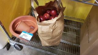 Lot Asst'd Display Fruit & Plant Pots