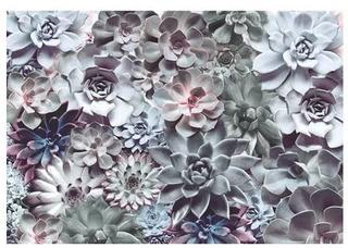 Wilhelm Shades 12ft 1in w x 8ft 3in h  Wall Mural