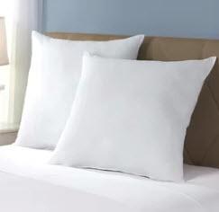 Set of 2 Euro Square Pillows