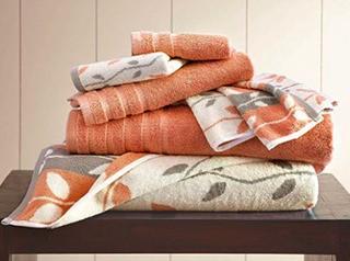 Hodapp 6 Piece 100% Cotton Towel Set,Coral