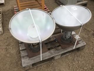 1000W Flood Lamps