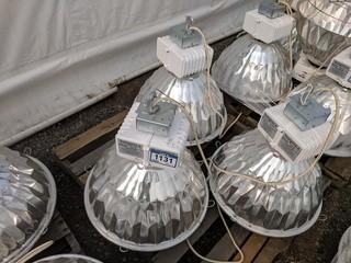 Lot of (3) Stingray Model 750544, 320W Hanging Lights.