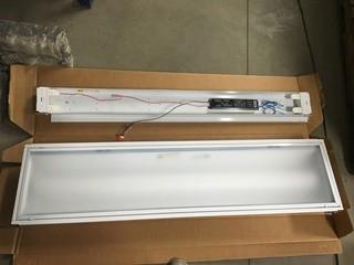 Lot of Miscellaneous Fluorescent Lights, Utility Fluorescent Light, Etc.