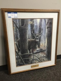 Framed Deer Picture