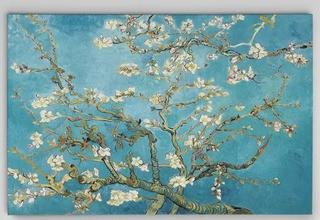 Almond Blossom' by Vincent Van Gogh Print of Painting on Wrapped Canvas 32x48"