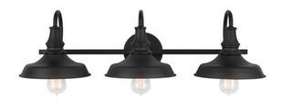 Mantooth 3-Light Vanity Light