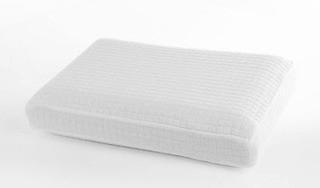 Beautyrest Memory Foam Pillow