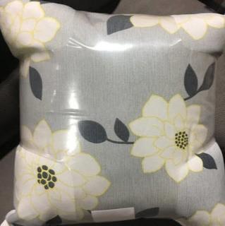 Indoor/Outdoor Accent Throw Pillows, 2PK 16x16"