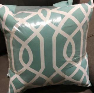 Indoor/Outdoor Accent Throw Pillows, 2PK 16x16"