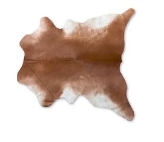 Grimes Hand-Woven Cowhide Tan Area Rug 2x3'