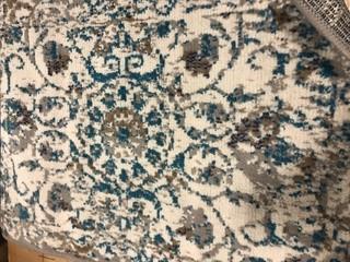 Century Area Rug 23x35"