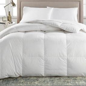 Ralph Lauren European White Down Comforter, King