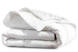 Beautyrest Black European Down Duvet, King