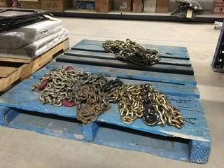 Lot of Assorted Chains.