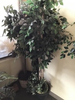 Qty Of (2) Artificial Office Plants *LOCATED AT FRONTIER MECHANICAL*