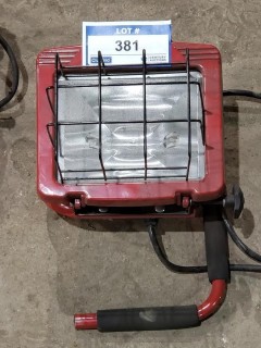 120V Flood Light